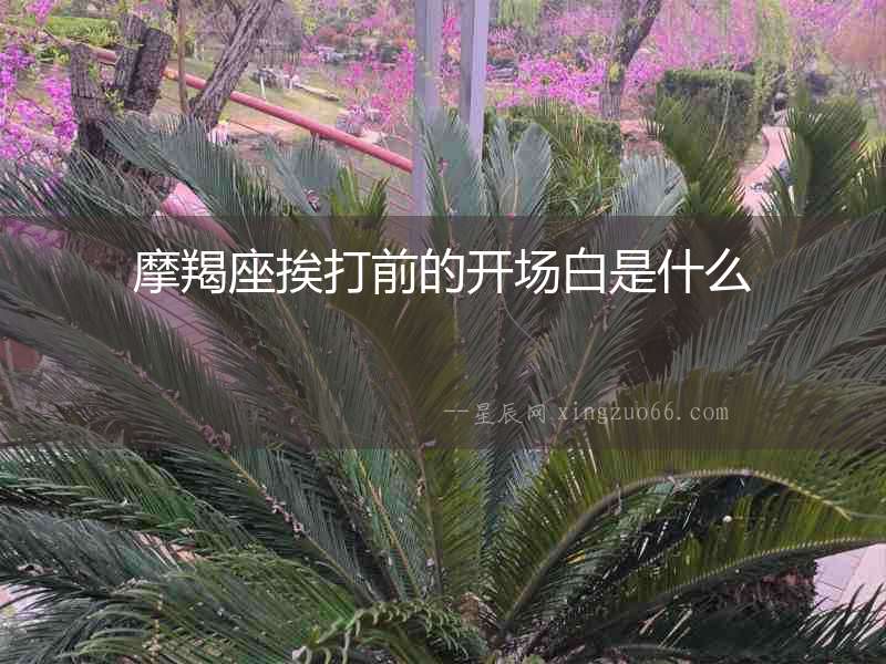 摩羯座挨打前的開(kāi)場(chǎng)白是什么