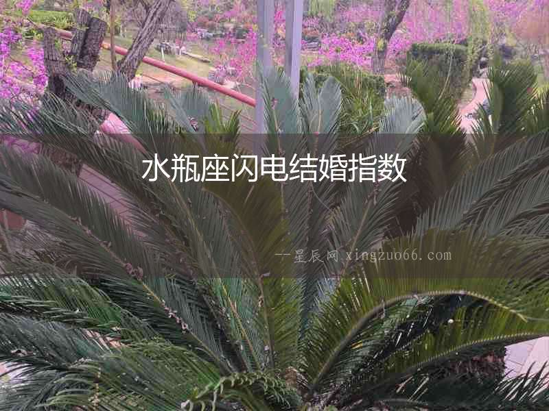 水瓶座閃電結(jié)婚指數(shù)