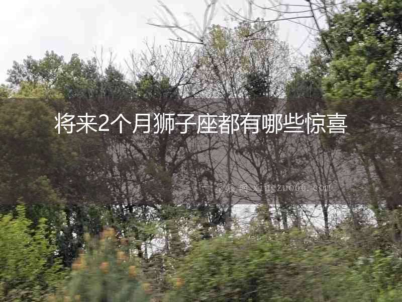 將來2個月獅子座都有哪些驚喜