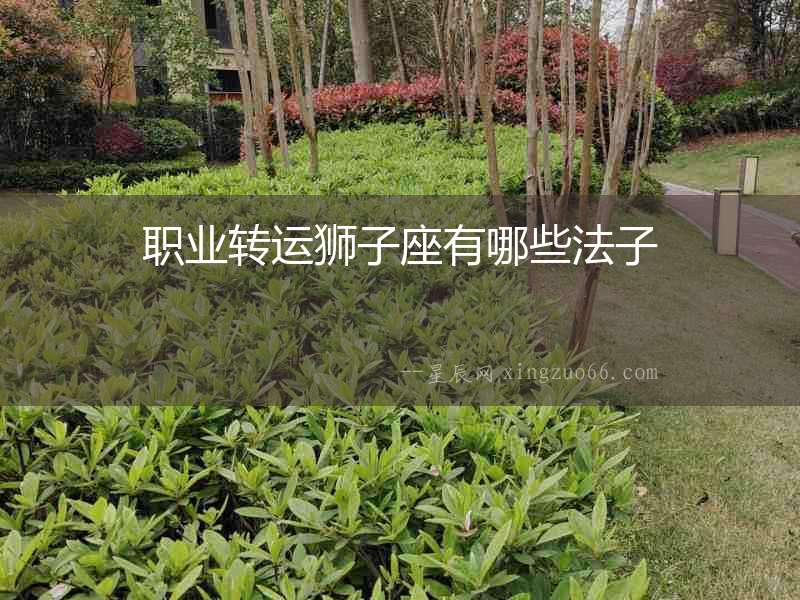 職業(yè)轉(zhuǎn)運(yùn)獅子座有哪些法子
