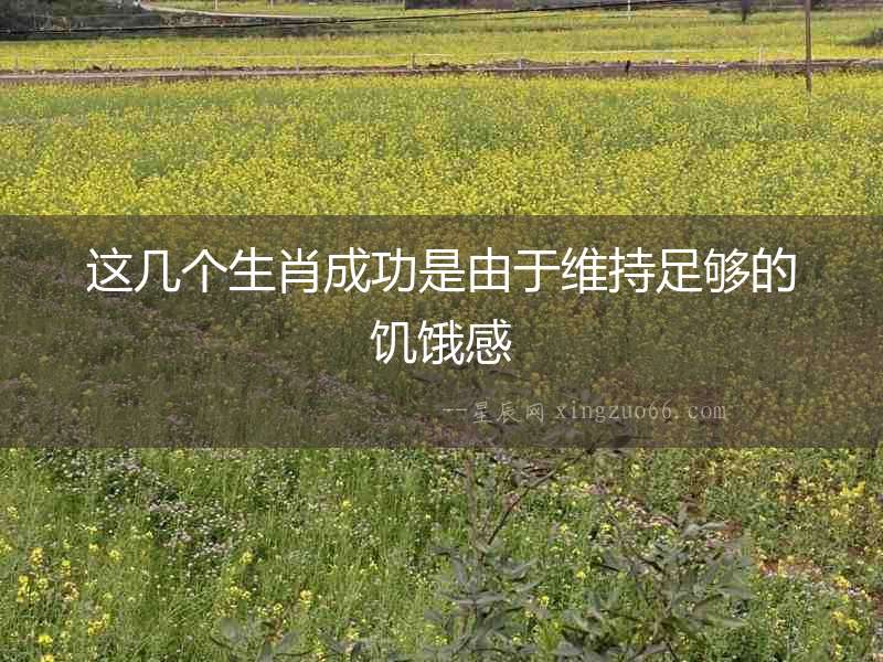 這幾個生肖成功是由于維持足夠的饑餓感