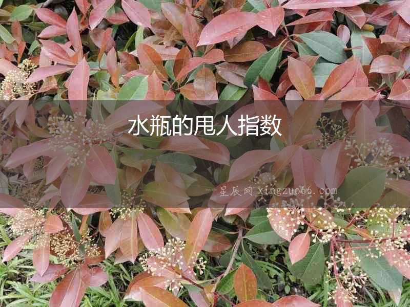 水瓶的甩人指數(shù)