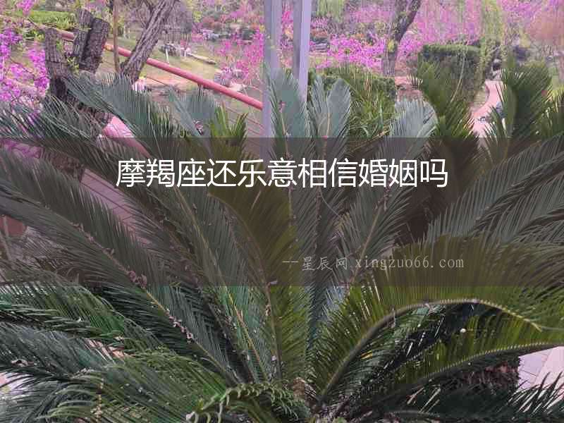 摩羯座還樂意相信婚姻嗎