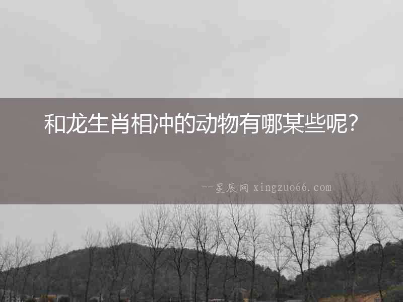 和龍生肖相沖的動物有哪些呢？