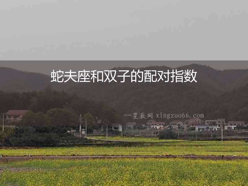 蛇夫座和雙子的配對指數