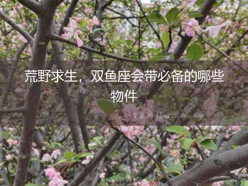 荒野求生，雙魚座會(huì)帶必備的哪些物件