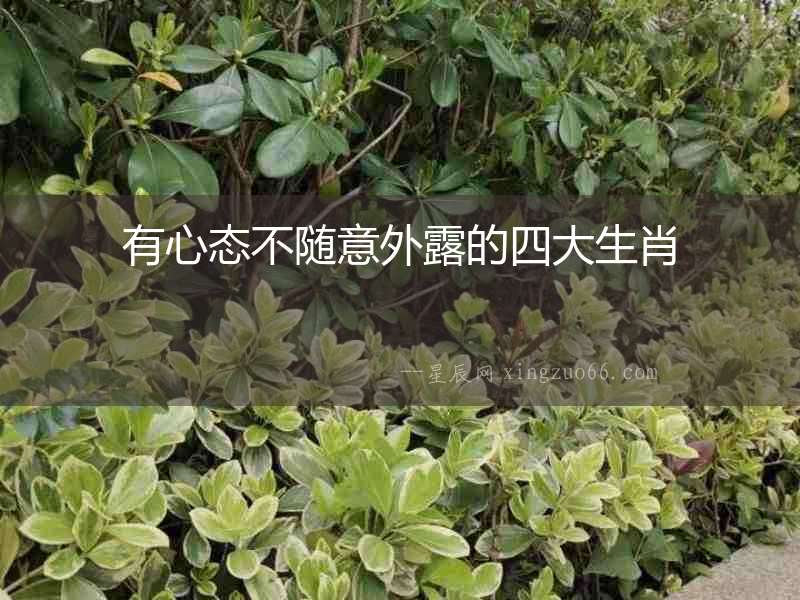 有心態不隨意外露的四大生肖