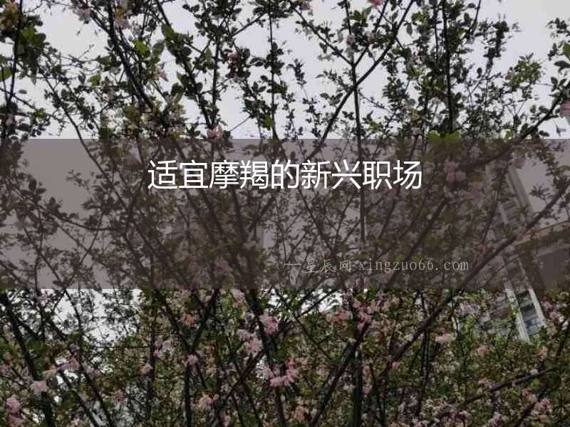 適宜摩羯的新興職場
