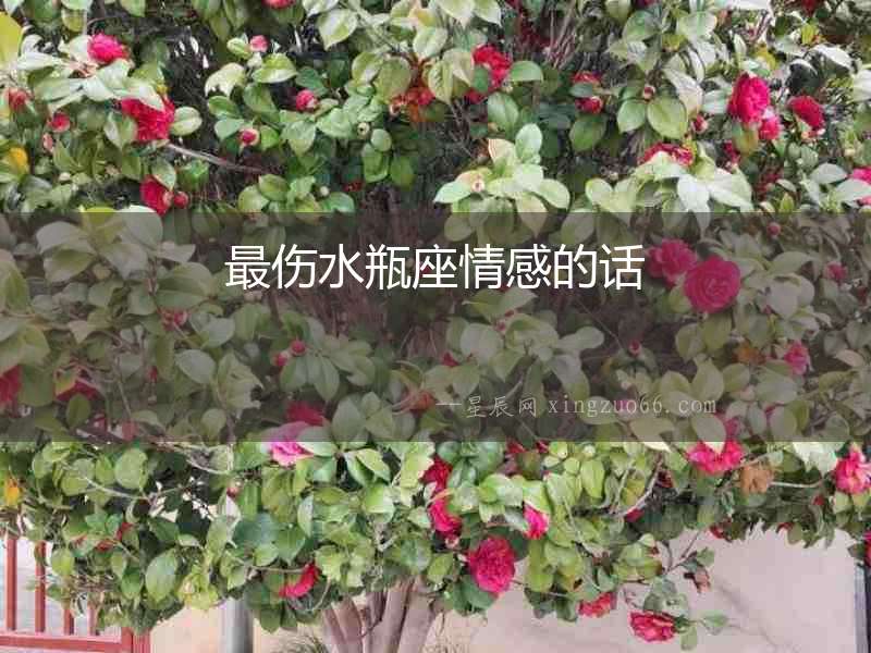 最傷水瓶座情感的話