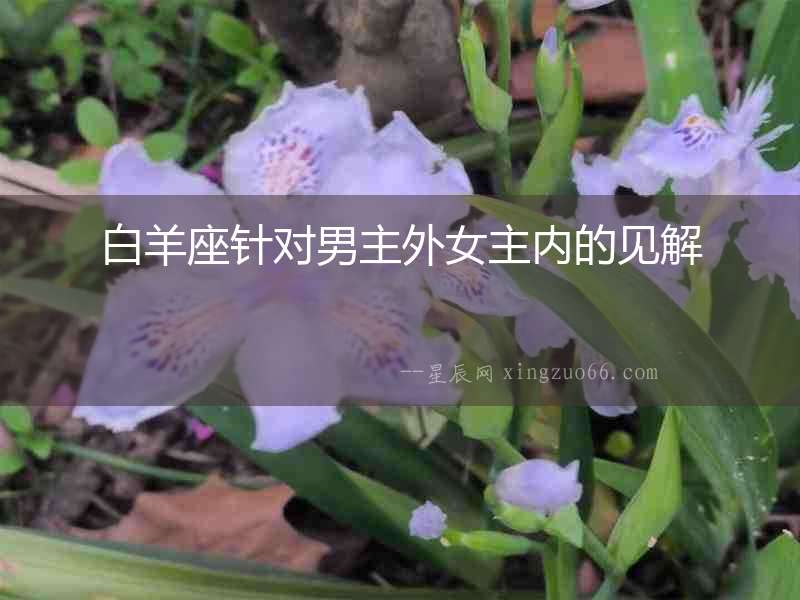 白羊座針對男主外女主內的見解