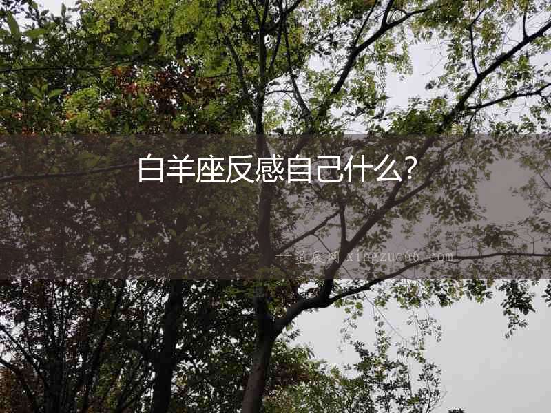 白羊座反感自己什么？
