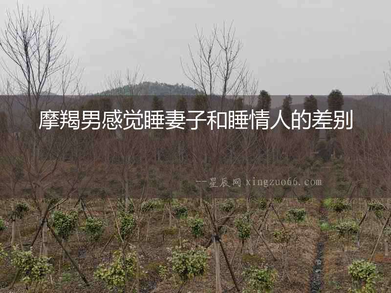 摩羯男感覺睡妻子和睡情人的差別