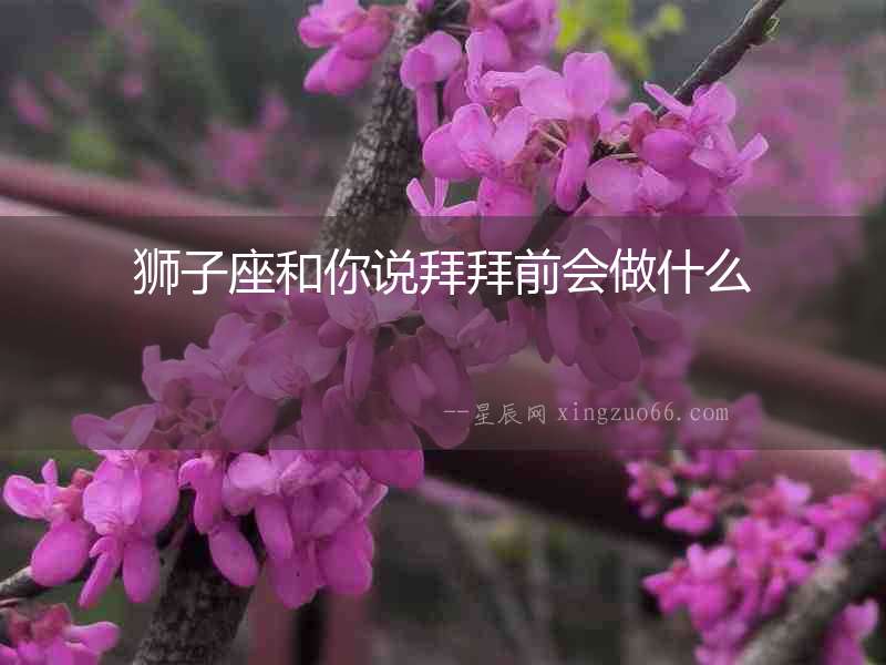 獅子座和你說拜拜前會做什么