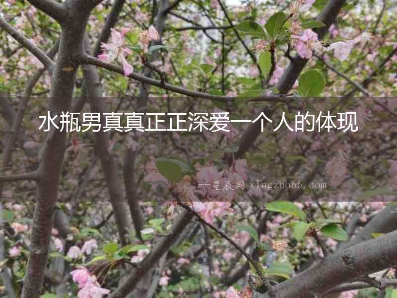 水瓶男真真正正深愛一個人的體現