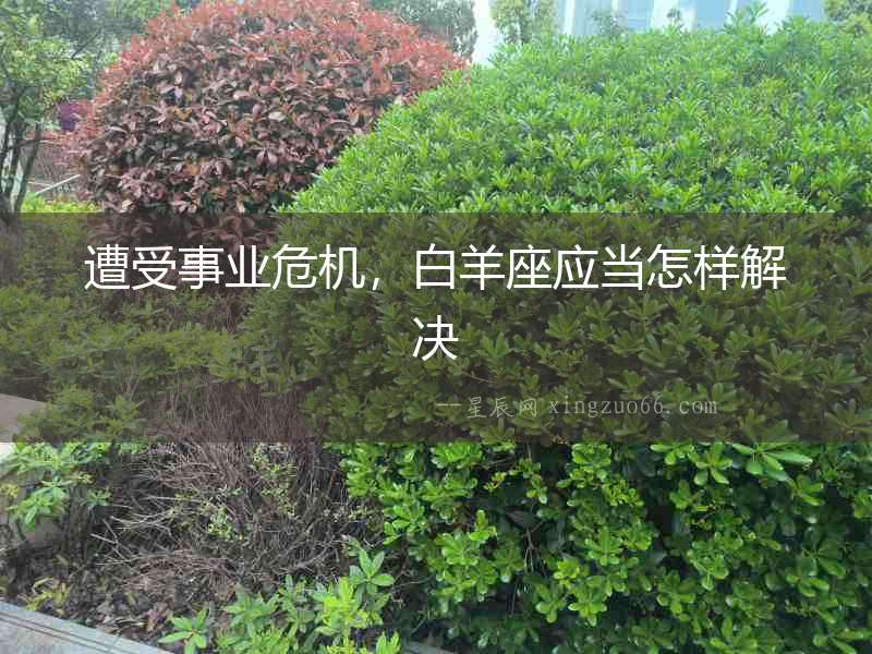 遭受事業(yè)危機(jī)，白羊座應(yīng)當(dāng)怎樣解決