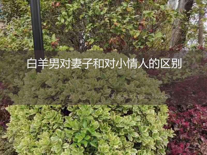 白羊男對妻子和對小情人的區(qū)別