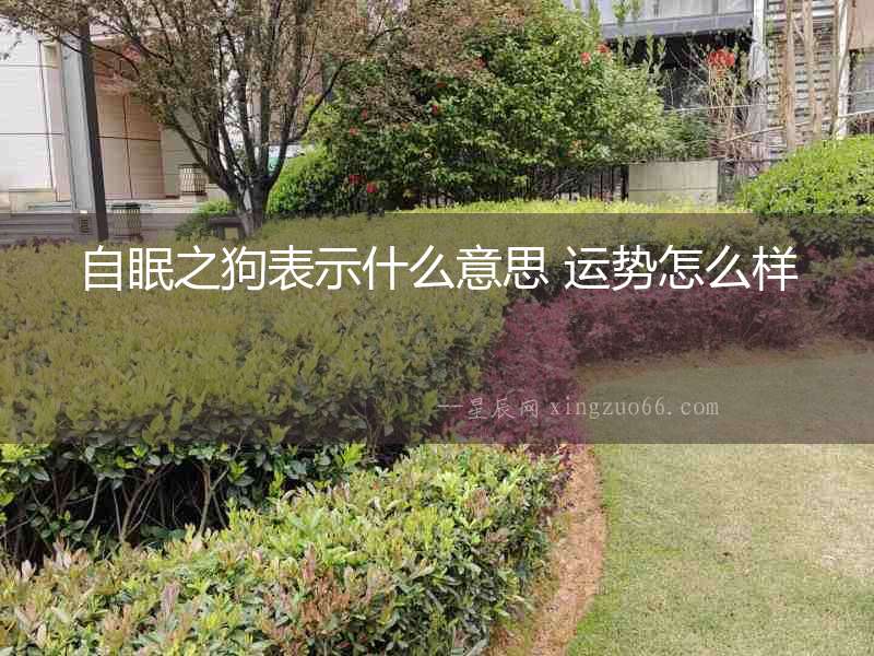 自眠之狗表示什么意思 運(yùn)勢(shì)怎么樣