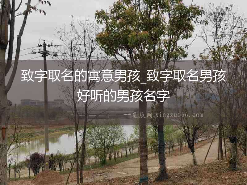 致字取名的寓意男孩_致字取名男孩好聽(tīng)的男孩名字