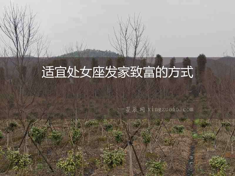 適宜處女座發家致富的方式