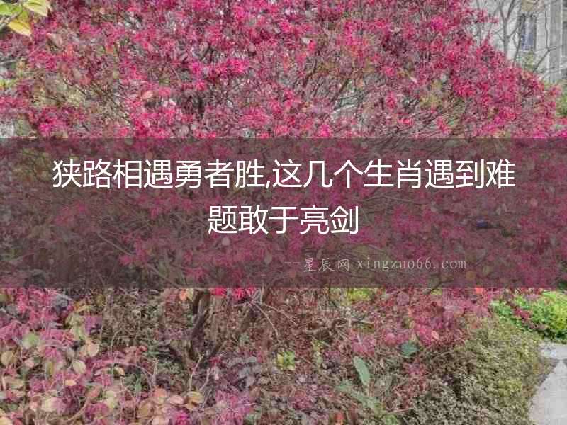狹路相遇勇者勝,這幾個(gè)生肖遇到難題敢于亮劍