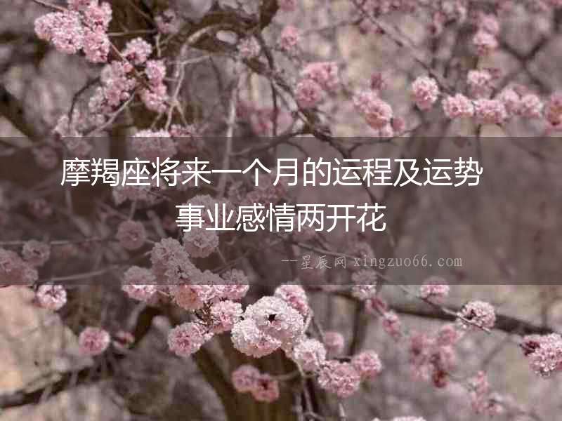 摩羯座將來一個月的運(yùn)程及運(yùn)勢  事業(yè)感情兩開花