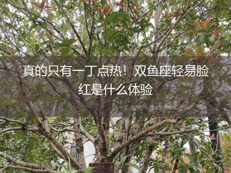 真的只有一丁點熱！雙魚座輕易臉紅是什么體驗