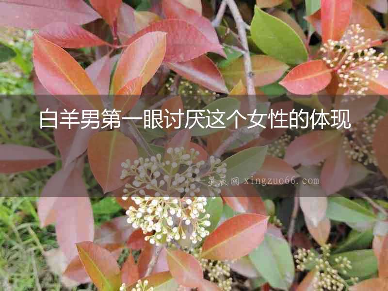 白羊男第一眼討厭這個(gè)女性的體現(xiàn)