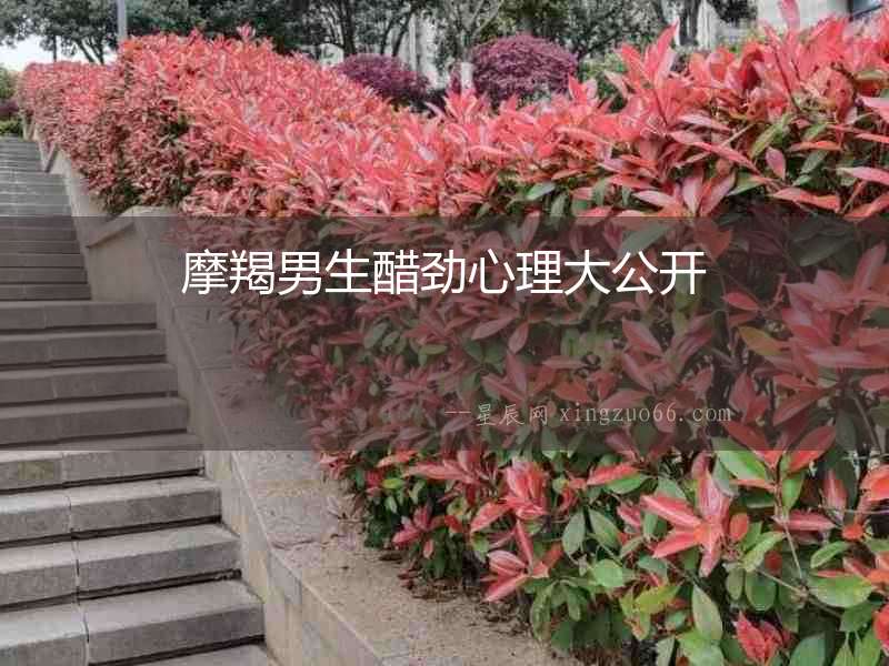 摩羯男生醋勁心理大公開