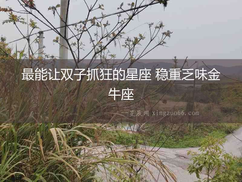 最能讓雙子抓狂的星座 穩重乏味金牛座