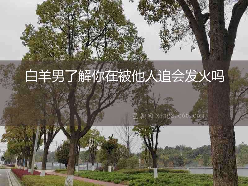 白羊男了解你在被他人追會發火嗎