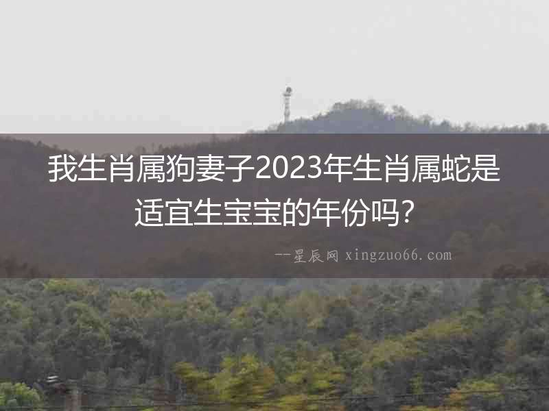 我生肖屬狗妻子2023年生肖屬蛇是適宜生寶寶的年份嗎？