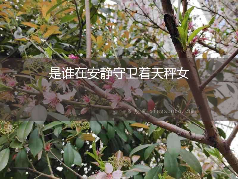 是誰在安靜守衛(wèi)著天秤女