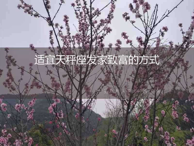 適宜天秤座發家致富的方式