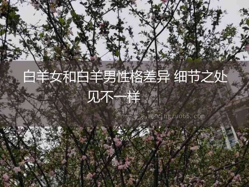 白羊女和白羊男性格差異 細(xì)節(jié)之處見不一樣  　　