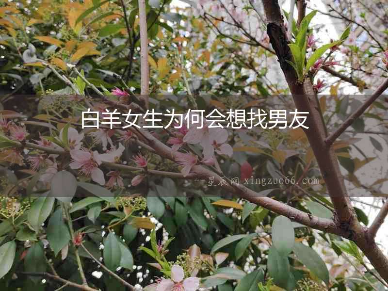白羊女生為何會(huì)想找男友