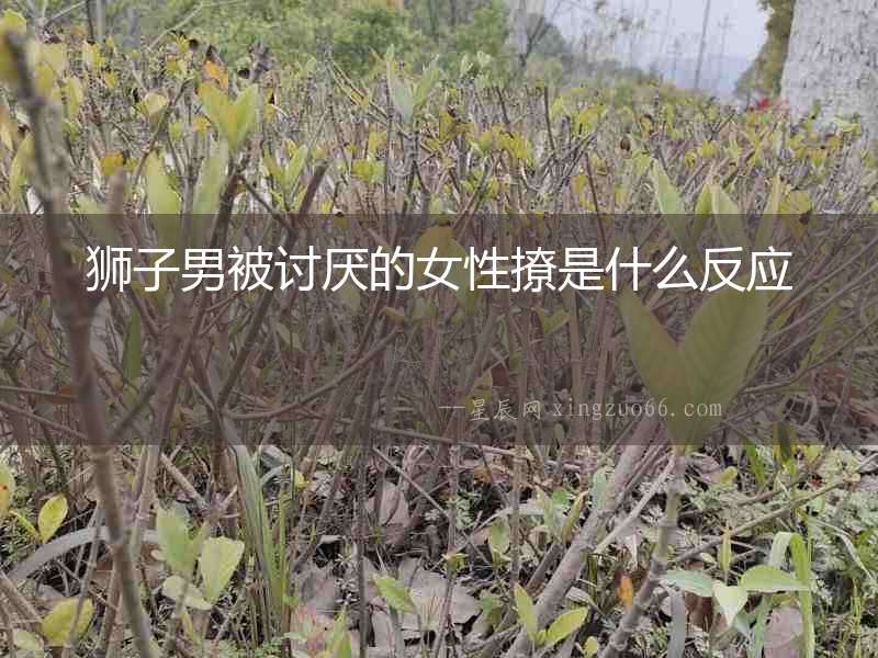 獅子男被討厭的女性撩是什么反應(yīng)