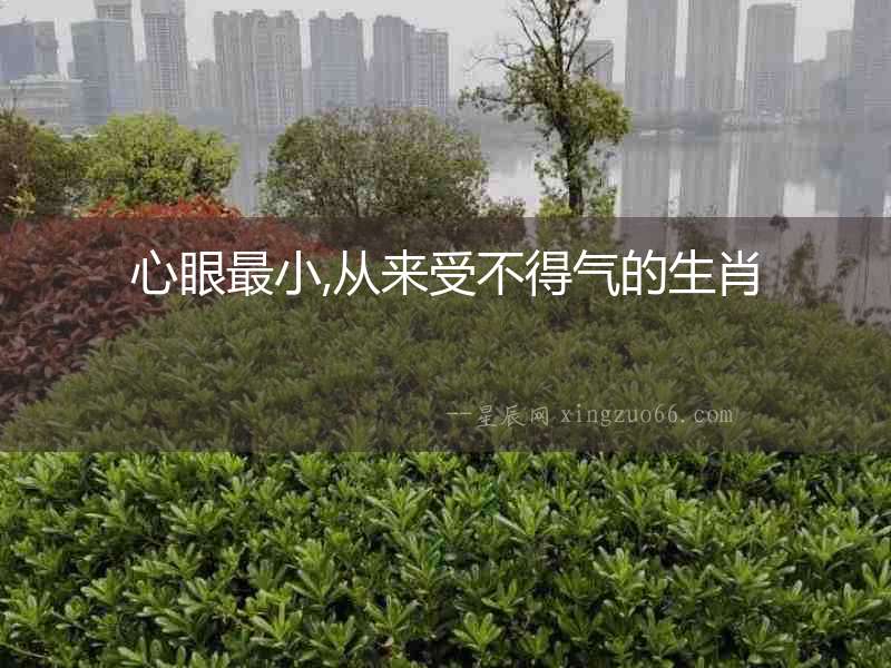 心眼最小,從來受不得氣的生肖