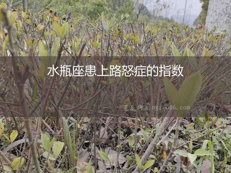 水瓶座患上路怒癥的指數