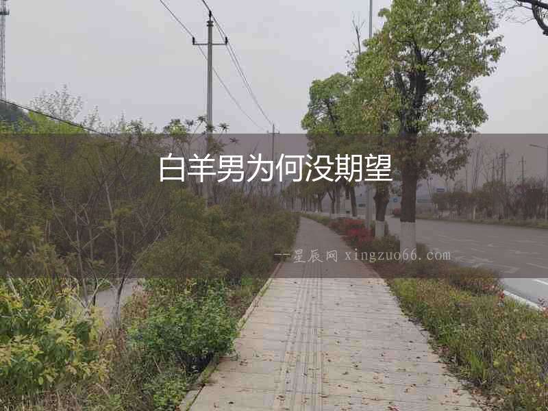 白羊男為何沒期望