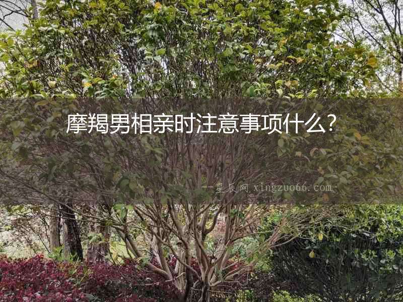 摩羯男相親時注意事項什么？