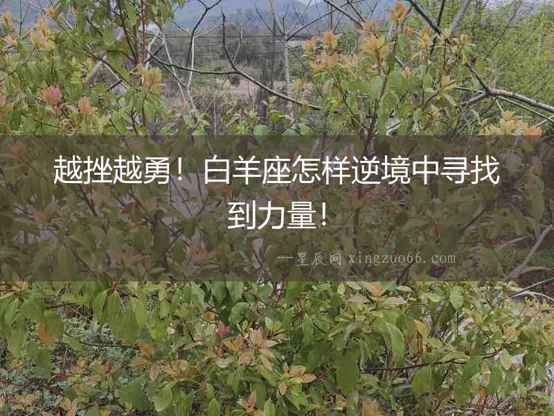 越挫越勇！白羊座怎樣逆境中尋找到力量！