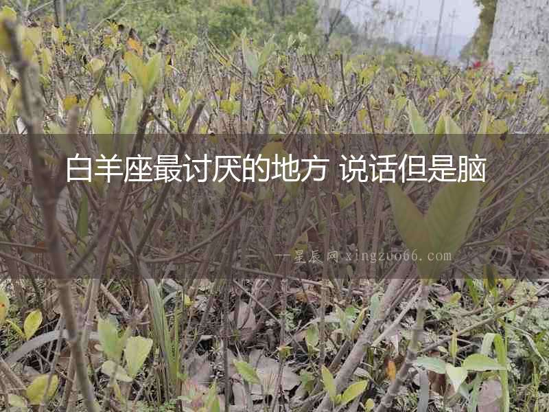 白羊座最討厭的地方 說(shuō)話(huà)但是腦