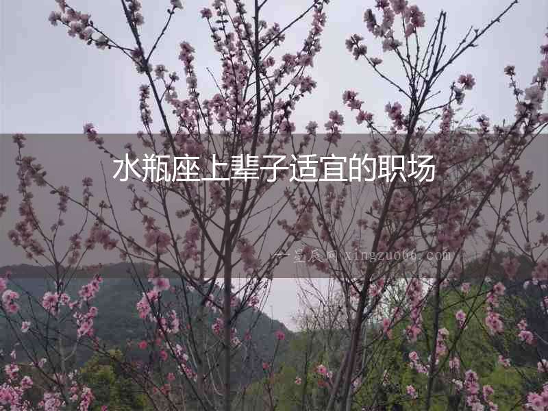 水瓶座上輩子適宜的職場(chǎng)