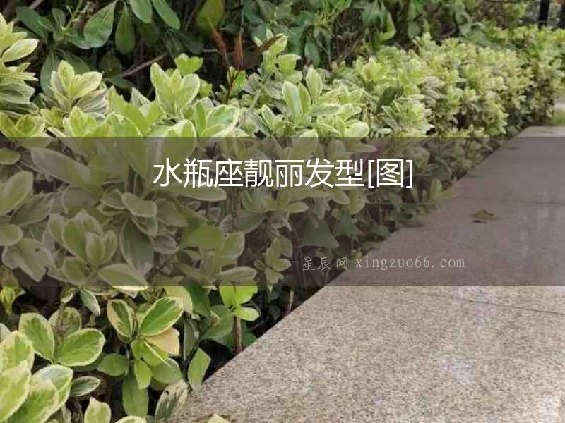 水瓶座靚麗發(fā)型[圖]