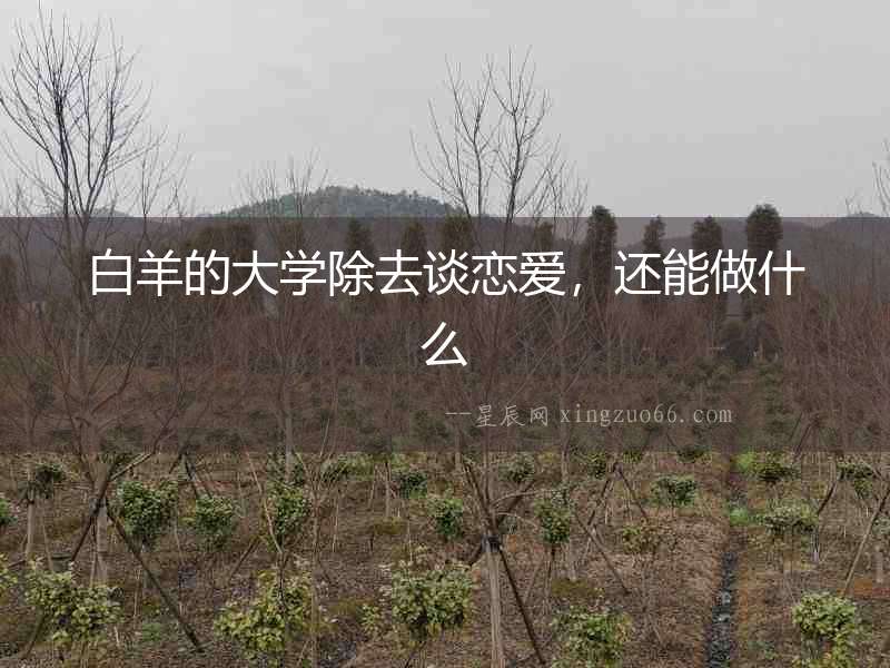 白羊的大學除去談戀愛，還能做什么