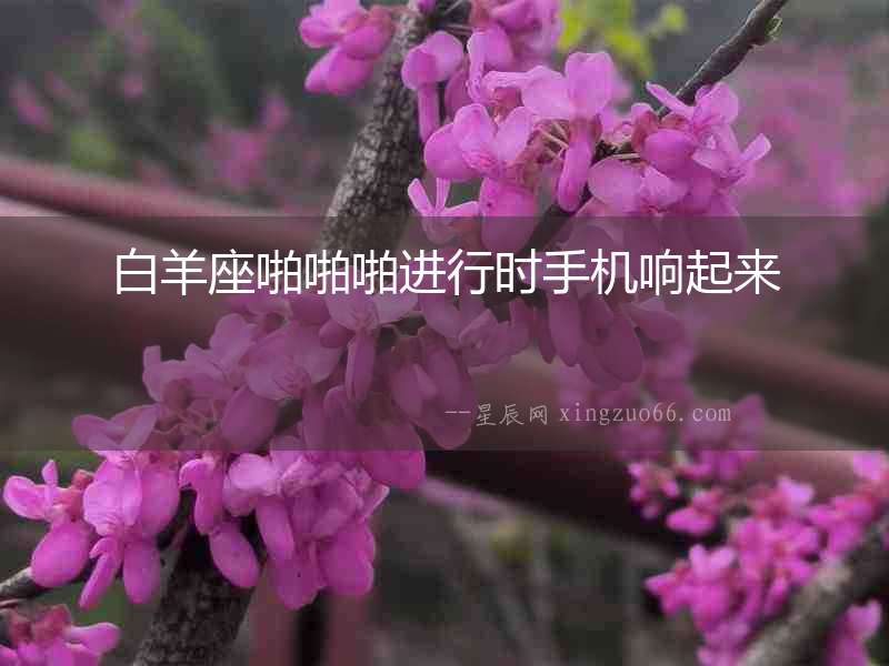白羊座啪啪啪進(jìn)行時(shí)手機(jī)響起來(lái)
