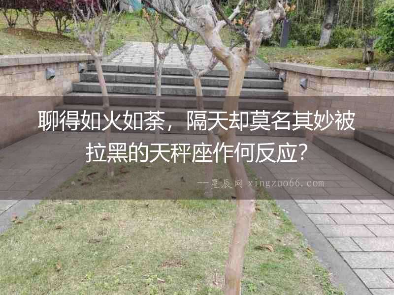聊得如火如荼，隔天卻莫名其妙被拉黑的天秤座作何反應？