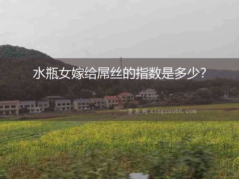 水瓶女嫁給屌絲的指數(shù)是多少？