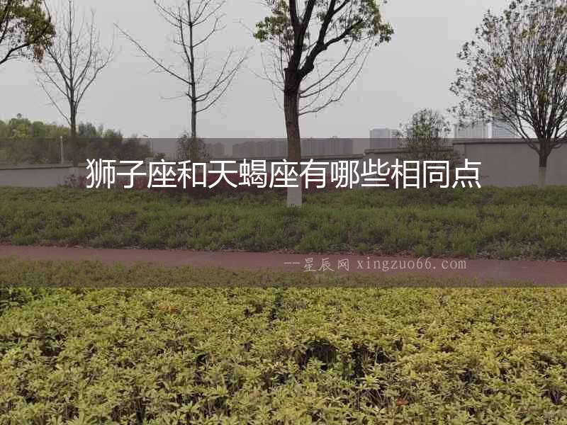 獅子座和天蝎座有哪些相同點(diǎn)