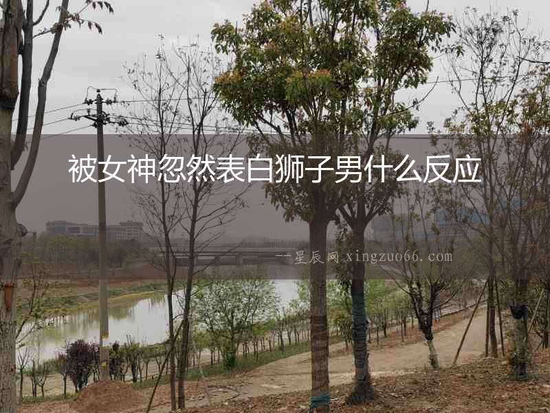 被女神忽然表白獅子男什么反應(yīng)